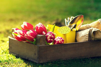 Simple Ways To Make Your Spring Garden Bloom On A Budget